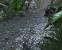 Crysis-Screenshot-Wettbewerb mit Nvidia und MSI
