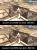 <strong>Assassin's Creed</strong>: Unter Direct X 10 gibt es gefilterte Schatten.
