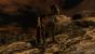 Gerenderters HD-Video von <strong>Zotac</strong>. Die Maskottchen suchen noch Namen. (Bild: PCGH)