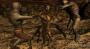 Gerenderters HD-Video von <strong>Zotac</strong>. Die Maskottchen suchen noch Namen. (Bild: PCGH)