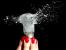 LED-Lampen setzen sich nur schleppend durch.