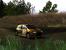 2004: Xpand Rally (basiert auf der Chrome-Engine)