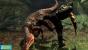 2008: Turok