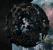 Prey: Die organische Sphere