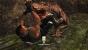 Turok: 65 versus 80 (Presse versus User)