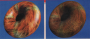 Links: Der Donut wirkt zwar echt, hat aber keine sichtbaren Strukturen. Rechts: Das Bump Mapping präsentiert den Donut mit deutlichen Vertiefungen.
