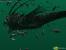 Techdemo-Galerie:: Creature, Hardware-TnL-Demo zur Geforce 2 (2000)