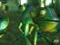 Techdemo-Galerie: Chameleon, Hardware-TnL-Demo zur Geforce 4 MX (2002)