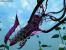 Techdemo-Galerie:Squid, Pixel-Shader-Demo zur Geforce 4 Ti (2002)