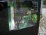 <strong>PC Games Hardware Extreme:</strong> Im Thread <a href="http://extreme.pcgameshardware.de/wasserk-hlung/1606-wak-bilderthread.html" target="_self" > WaKü ***Bilderthread***</a> zeigen PCGHX-User auf aktuell 33 Seiten Bilder ihrer Wasserkühlungen. Zeigen Sie uns Ihre Wasserkühlung!