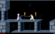 1990: Prince of Persia (Pixel-torches illuminated the hallways)