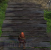 <strong>Age of Conan</strong>: Links mit einer 512 MiB Karte, recht mit einer 1024 MiB Karte
