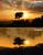 In the forums of <a class="posRel pe-4" href="http://www.crymod.com/thread.php?postid=240914#post240914" target="_blank" rel="noopener " >Crymod.com<span class="icon extLinkIcon posAbs"></span></a>, there is an interesting screenshot contest until the 1st of June. The goal is to match a real photo with a cryengine 2 powered image or vice versa. some of the best works can be found here, check out the <a class="posRel pe-4" href="http://www.crymod.com/thread.php?postid=240914#post240914" target="_blank" rel="noopener " >Crymod forums<span class="icon extLinkIcon posAbs"></span></a> for the rest.