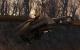Half-Life 2 mit <strong>Fakefactory Cinematic Mod 8</strong> - Bild: Jay.Gee aus dem 3DCenter-Forum