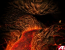 Ati-Techdemos: Radeon 9800: Lava Caves
