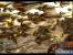<strong>Lost Planet: Colonies</strong> Direct X 10 Benchmark
