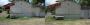 Real life versus Crysis by Crytek itself.