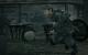 2008: Brothers in Arms: Hell's Highway - Teil 3 bekommt die Unreal Engine 3, an der man fortan bei Gearbox festhält. Die Entwickler pflegen Kontakt zu Epic, Anbieter der Engine.