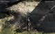 Zun geplanten Texturmod für Crysis sind neue Vergleichsbilder aufgetaucht (danke an <a class="posRel pe-4" href="http://www.pcgames.de/aid,647566/Bildergalerie/Optischer_Hochgenuss_Vergleichsbilder_zum_Texturen-Update_fuer_Crysis/" target="_blank" rel="noopener " >pcgames.de<span class="icon extLinkIcon posAbs"></span></a>. Viel Spaß damit.