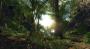 2007: Crysis - Entwickler Crytek lieferte 2007 einen Augenschmaus ab, dessen Realisierung die verfügbare Hardware an den Rand der Leistungsfähigkeit brachte.