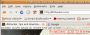 Auch für Linux gibt es eine FF-3.0-Version 