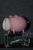 Ein Schwein.