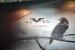 Raven by Silverstone, was das wohl sein mag...
