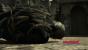 Blick über den Tellerrand: Die ersten "echten" Screenshots von Metal Gear Solid 4 sind in einem <a class="posRel pe-4" href="http://forum.onpsx.de/thread.php?threadid=10534" target="_blank" rel="noopener " >deutschen Forum erschienen<span class="icon extLinkIcon posAbs"></span></a>. Wie man selbst Bilder erstellt, verrät ein <a class="posRel pe-4" href="http://www.onpsx.de/news.php?id=20016" target="_blank" rel="noopener " >entsprechender Artikel<span class="icon extLinkIcon posAbs"></span></a>.