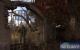 Brandneue Screenshots zu <strong>Stalker: Clear Sky</strong>