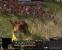 Furchterregende Einheiten in <strong>Warhammer: Mark of Chaos - Battle March</strong>