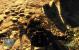 Neue Einsendungen: PC Games Hardware sucht im Thread <a href="http://extreme.pcgameshardware.de/ankuendigungen/20193-pcgh-extreme-wir-suchen-den-ultimativen-spiele-screenshot.html" target="_self" >[PCGH Extreme] Wir suchen den ultimativen Spiele-Screenshot!</a> den ultimativen Spielescreenshot und verlost zusammen mit Zotac eine Geforce GTX 260 in der Amp!-Edition.