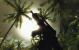 Neue Einsendungen: PC Games Hardware sucht im Thread <a href="http://extreme.pcgameshardware.de/ankuendigungen/20193-pcgh-extreme-wir-suchen-den-ultimativen-spiele-screenshot.html" target="_self" >[PCGH Extreme] Wir suchen den ultimativen Spiele-Screenshot!</a> den ultimativen Spielescreenshot und verlost zusammen mit Zotac eine Geforce GTX 260 in der Amp!-Edition.