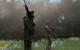 <strong>Armed Assault 1</strong>: Bilder von Jay.Gee