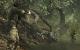 Screenshot zu <strong>Call of Duty 5: World at War</strong>
