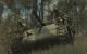 Screenshot zu <strong>Call of Duty 5: World at War</strong>