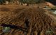 Crysis: Rygel Textur-Update
