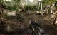 <strong>Crysis: Warhead</strong>: 