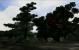 PC Games Hardware sucht im Thread <a href="http://extreme.pcgameshardware.de/ankuendigungen/20193-pcgh-extreme-wir-suchen-den-ultimativen-spiele-screenshot.html" target="_self" >[PCGH Extreme] Wir suchen den ultimativen Spiele-Screenshot!</a> den ultimativen Spielescreenshot und verlost zusammen mit Zotac eine Geforce GTX 260 in der Amp!-Edition.