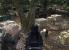 PC Games Hardware sucht im Thread <a href="http://extreme.pcgameshardware.de/ankuendigungen/20193-pcgh-extreme-wir-suchen-den-ultimativen-spiele-screenshot.html" target="_self" >[PCGH Extreme] Wir suchen den ultimativen Spiele-Screenshot!</a> den ultimativen Spielescreenshot und verlost zusammen mit Zotac eine Geforce GTX 260 in der Amp!-Edition.