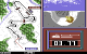 Winter Games (1985, C64)