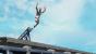 Älterer Screenshot aus <strong>James Bond: Quantum of Solace</strong> (Bild: Activision)