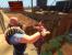 PC Games Hardware sucht im Thread <a href="http://extreme.pcgameshardware.de/ankuendigungen/20193-pcgh-extreme-wir-suchen-den-ultimativen-spiele-screenshot.html" target="_self" >[PCGH Extreme] Wir suchen den ultimativen Spiele-Screenshot!</a> den ultimativen Spielescreenshot und verlost zusammen mit Zotac eine Geforce GTX 260 in der Amp!-Edition.