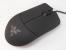 Razer Salmosa