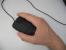 Razer Salmosa