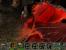 PCGH-<strong>Rollenspiele (RPG)</strong>-Special Planescape_Torment_1999 (Bild: <a class="posRel pe-4" href="http://www.mobygames.com" target="_blank" rel="noopener " >Mobygames<span class="icon extLinkIcon posAbs"></span></a>)

