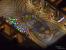 PCGH-<strong>Rollenspiele (RPG)</strong>-Special Baldurs_Gate_II_Shadows_of_Amn_2000 (Bild: <a class="posRel pe-4" href="http://www.mobygames.com" target="_blank" rel="noopener " >Mobygames<span class="icon extLinkIcon posAbs"></span></a>)
