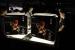 AMD: Black Edition auf der GC 2008