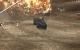 <strong>Flatout Ultimate Carnage</strong>. Bild: Dargo (3dcenter.de)