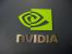 Nvidia: Nvision 2009 findet nicht statt