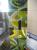Nvidia Headquarter: moderne Kunst? (Bild: PCGH)